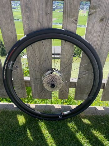 Used Velomann Palladium 2025 bike — image 2 of 6