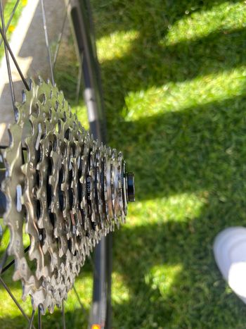 Used Velomann Palladium 2025 bike — image 3 of 6