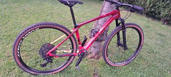 Used Rockrider XC900 bike