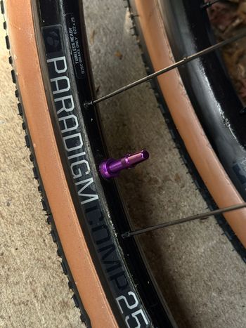 Used Bontrager Paradigm Comp 25 TLR Disc Road Wheel 700c 2026 bike — image 6 of 6