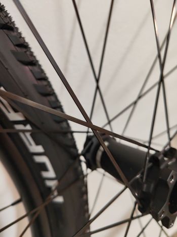 Used PROGRESS Wheels 2025 bike — image 2 of 7