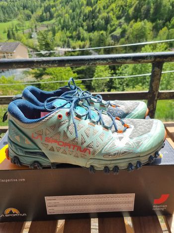 Used La Sportiva Bushido II 2023 bike — image 5 of 15