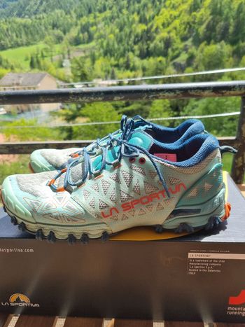 Used La Sportiva Bushido II 2023 bike — image 4 of 15