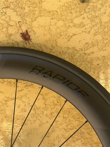 Used Specialized Rapide CLX II bike — image 3 of 8