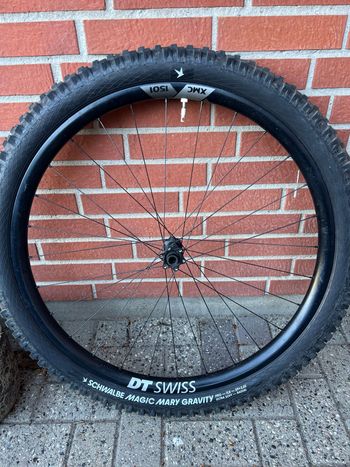 Used Dt Swiss EXC 1501 SPLINE ONE 2021 bike