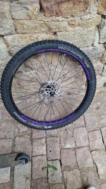 Used Dt Swiss Felge 2025 bike