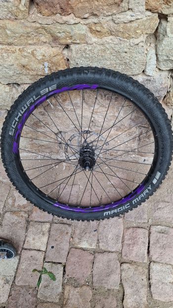 Used Dt Swiss Felge 2025 bike — image 4 of 4