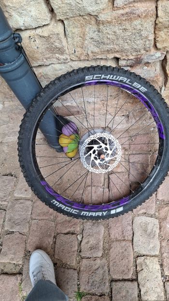 Used Dt Swiss Felge 2025 bike — image 2 of 4