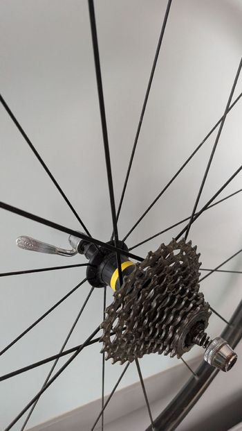 Used Mavic Aksium Rear Wheel 2022 bike — image 4 of 4