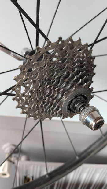 Used Mavic Aksium Rear Wheel 2022 bike