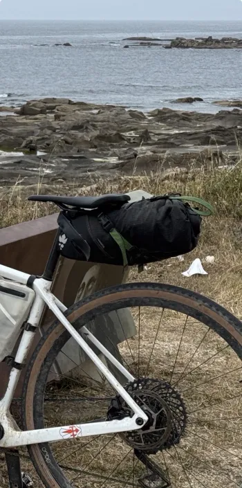 Used miss grape Cluster 7 2025 bike — image 3 of 15