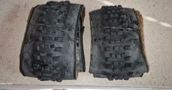 Used Schwalbe 29x2.60 Tire bike — image 2 of 4