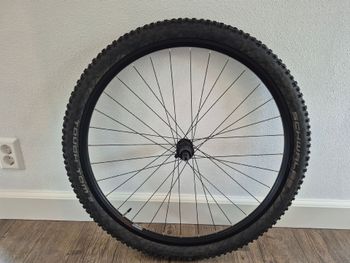 Used Dt Swiss 453d 29" rims bike — image 7 of 7