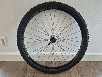 Used Dt Swiss 453d 29" rims bike — image 2 of 7