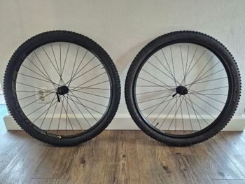 Used Dt Swiss 453d 29" rims bike