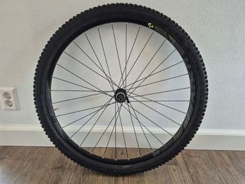 Used Dt Swiss 453d 29" rims bike — image 4 of 7