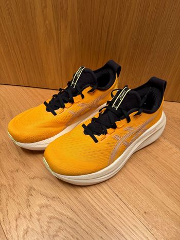Used Asics Nimbus 27 2025 bike