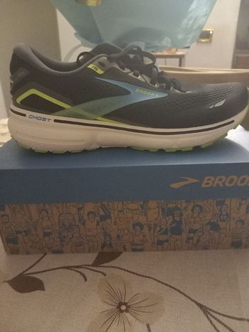 Used Brooks Ghost 15 bike