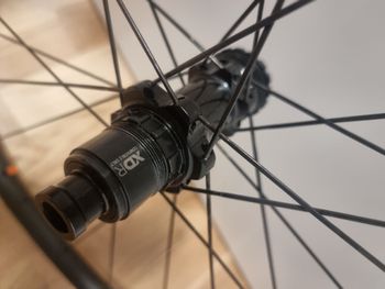 Used Black Inc Twenty All Road Disc Carbon 28" Laufradsatz 2025 bike — image 5 of 5