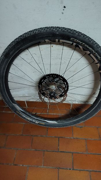 Used Newmen Advanced SL X.A.29 Boost Wheelset 2024 bike — image 3 of 5
