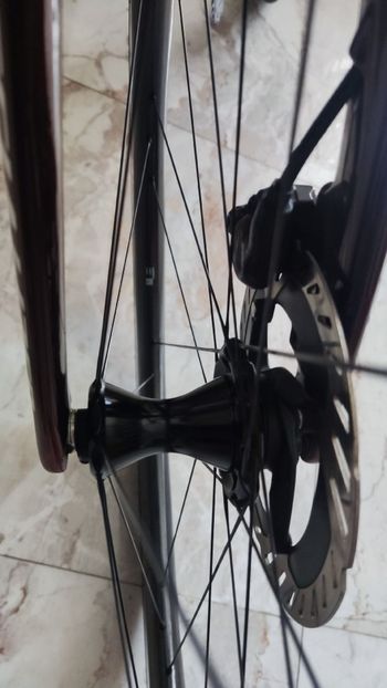 Used Campagnolo Bora WTO 2024 bike — image 4 of 5