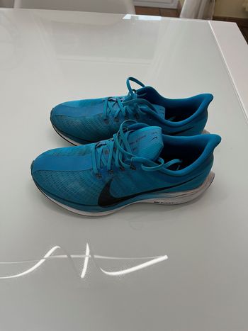 Used Nike Pegasus Turbo bike