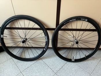 Used Dt Swiss PR 1600 SPLINE db 23 12/142 mm Shimano 2025 bike