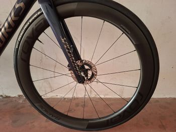 Used Roval Rapide CL II Disc Brake Wheelset 2024 bike — image 5 of 12
