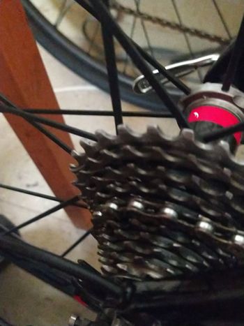 Used Sram Red Cassette 11-speed bike — image 2 of 3
