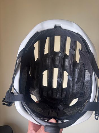 Used Scott Centric Plus MIPS Helmet 2023 bike — image 3 of 3