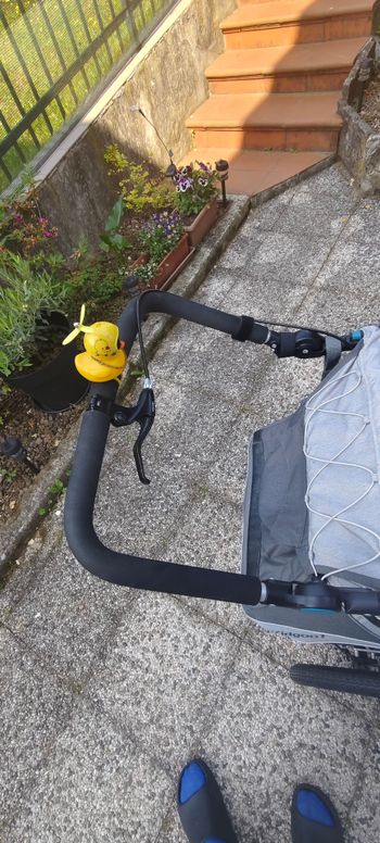 Used Qeridoo Kidgoo 1 2022 bike — image 7 of 7