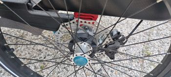 Used Qeridoo Kidgoo 1 2022 bike — image 4 of 7