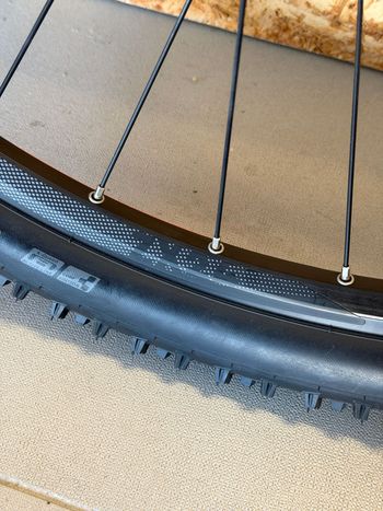 Used Alexrims ZX24 Rim Front bike — image 4 of 5