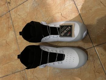 Used Fizik Carretera Zapatillas 2025 bike