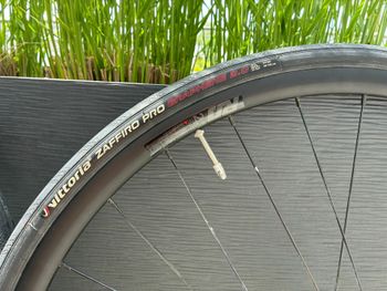 Used Cannondale RD 2.1 Felge 2024 bike — image 3 of 4