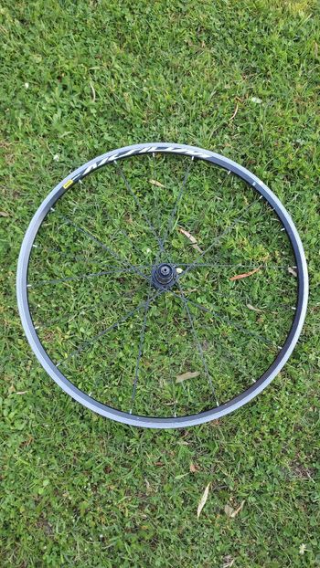 Used Mavic Aksium 2023 bike