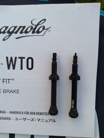 Used Campagnolo Bora WTO 45 Wheels 2024 bike — image 12 of 13