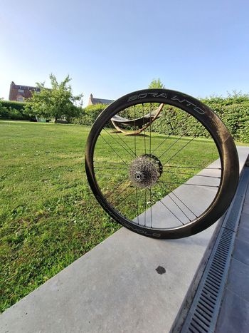 Used Campagnolo Bora WTO 45 Wheels 2024 bike — image 2 of 13