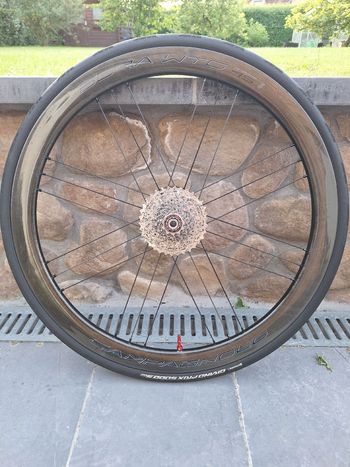 Used Campagnolo Bora WTO 45 Wheels 2024 bike — image 5 of 13