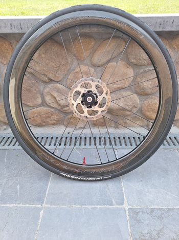 Used Campagnolo Bora WTO 45 Wheels 2024 bike — image 3 of 13