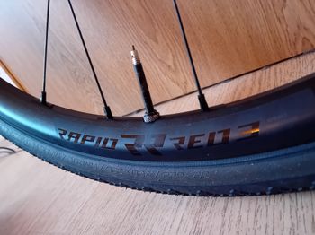 Used Fulcrum Rapid Red 3 Wheelset bike — image 13 of 13
