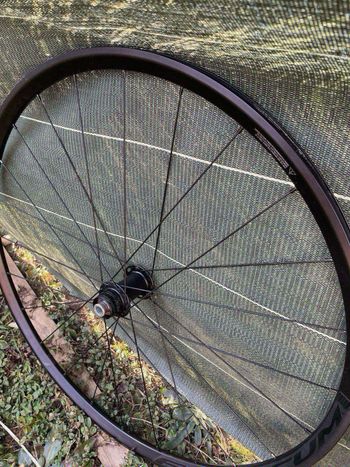 Used Fulcrum Fulcrum racing 700 db 2023 bike — image 3 of 4