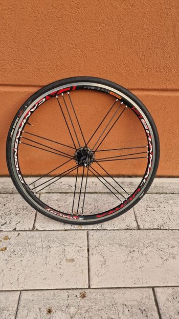 Used Campagnolo ruote Shamal Ultra bike — image 6 of 6
