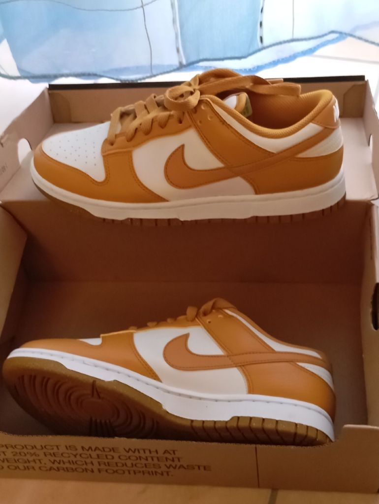 Used Nike Dunk Low Shoes 2023 bike — image 1 of 4