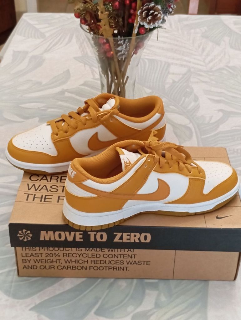 Used Nike Dunk Low Shoes 2023 bike — image 2 of 4