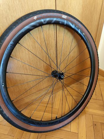 Used Campagnolo Levante 2024 bike