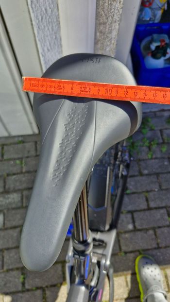 Used Fizik Terra Alpaca X5 Saddle 2025 bike