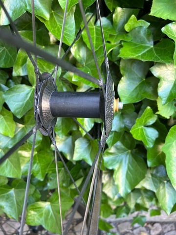 Tweedehands Lightweight Standard Sprint Tubular Wheelset with Campagnolo Cassette and Tune QR bike — afbeelding 9 van 20