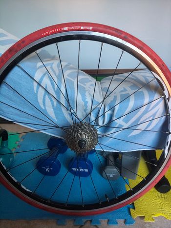 Used Elite Rullo bici 2017 bike — image 8 of 8