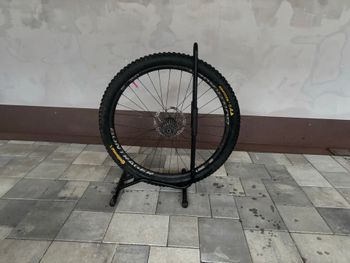 Used Bontrager Line DH 30 TLR 29 MTB Wheel 2024 bike — image 3 of 3